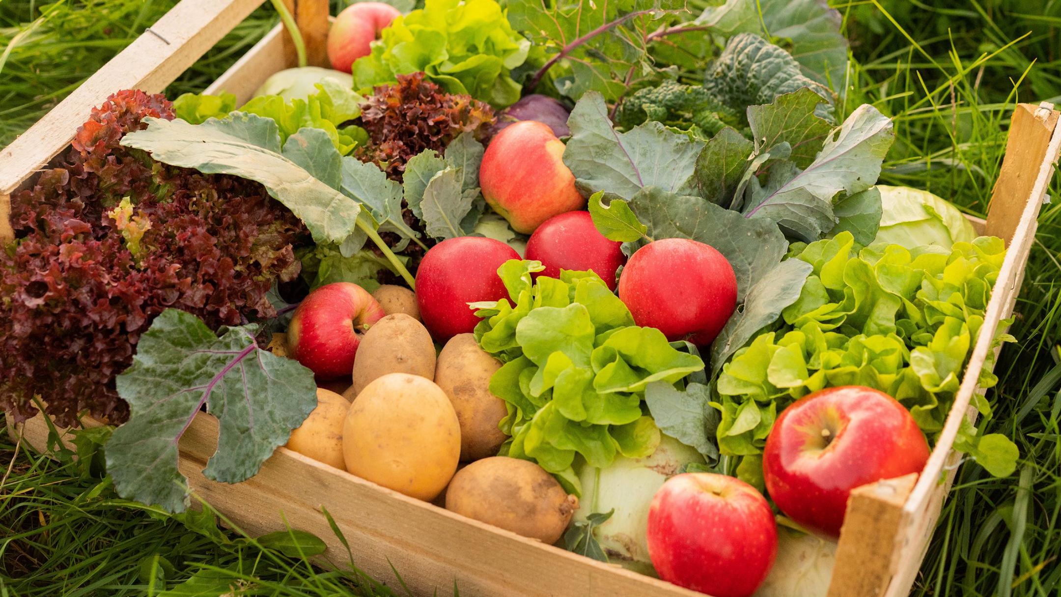 Lagerung von Früchten und Gemüse | Alnatura Bio Super Markt